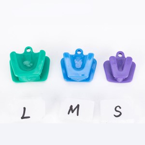 Dental orthodontics mouth support