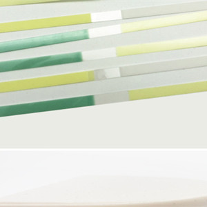 Dental polishing strip color roll wholesale