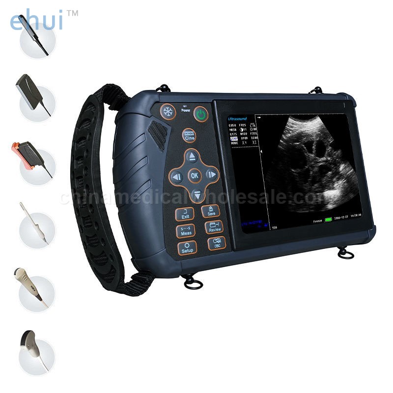 Portable horse scanner veterinary horse ultrasound equipment