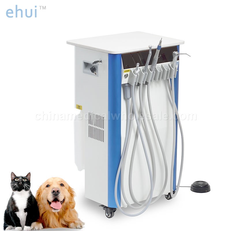 Mobile dentistry for vacuum equipment in veterinary hospitals
