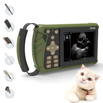 Portable USB ultrasonic scanner cow veterinary equipment