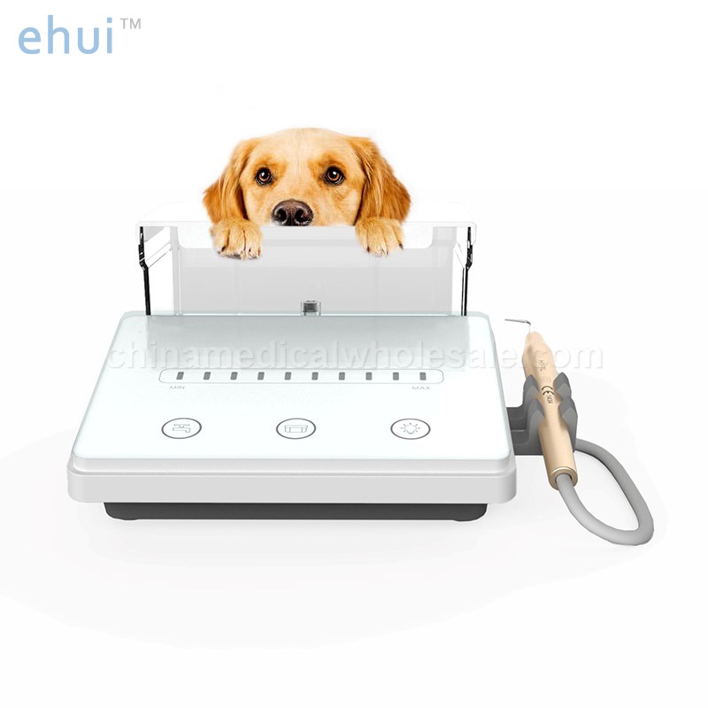 Painless veterinary equipment dental ultrasonic scaler dental scaler ultrasonic