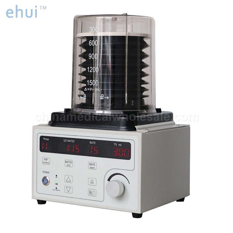 Veterinary anesthesia machine with ventilator