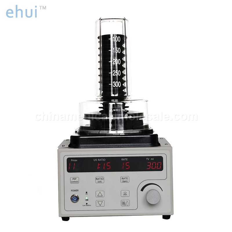 Veterinary anesthesia machine with ventilator