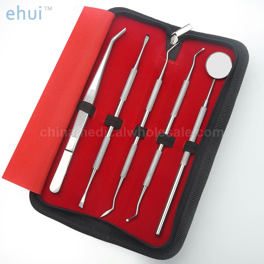 5 PCS Stainless Steel Oral Dental Care Kit In Leather Bag