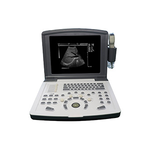 Medical Portable Ultrasonic Diagnostic Instrument Doppler Ultrasound Machine