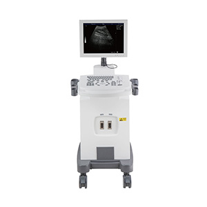 Low cost Trolley ultrasound full digital machine YH-350 ultrasound scan