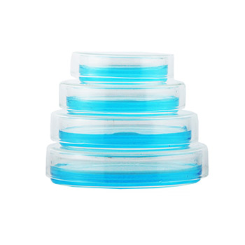 Supply Glass Petri dishGeneral glass Petri dishBacterial cell culture dish